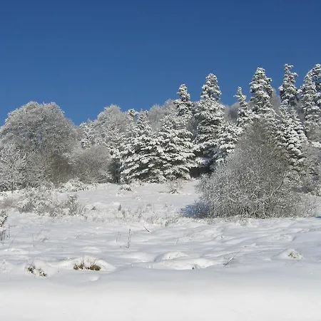 Bed & Breakfast La Ferme Des Genets Medeyrolles